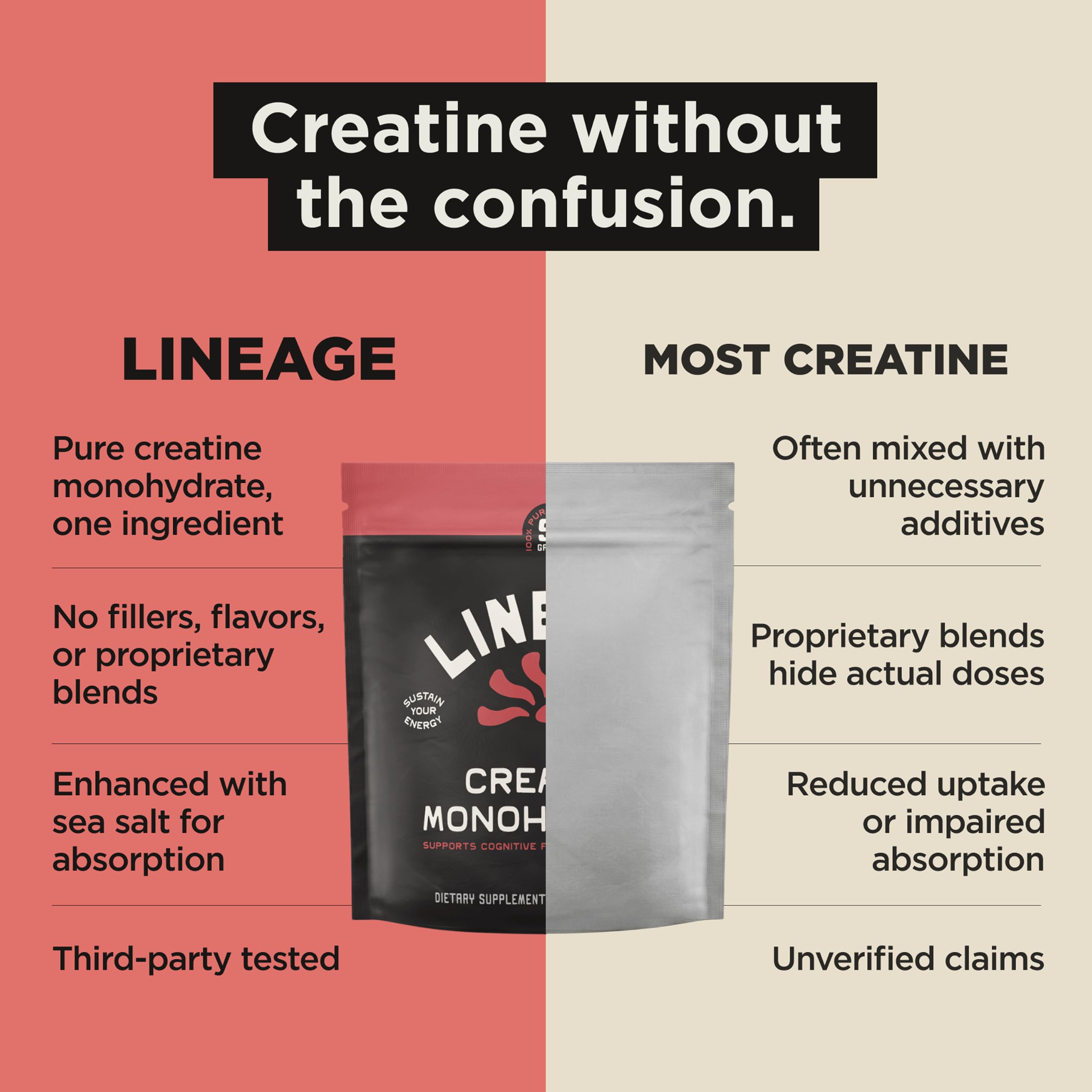 Lineage Provisions powder texture close-up showing micronized fine grains for fast mixing