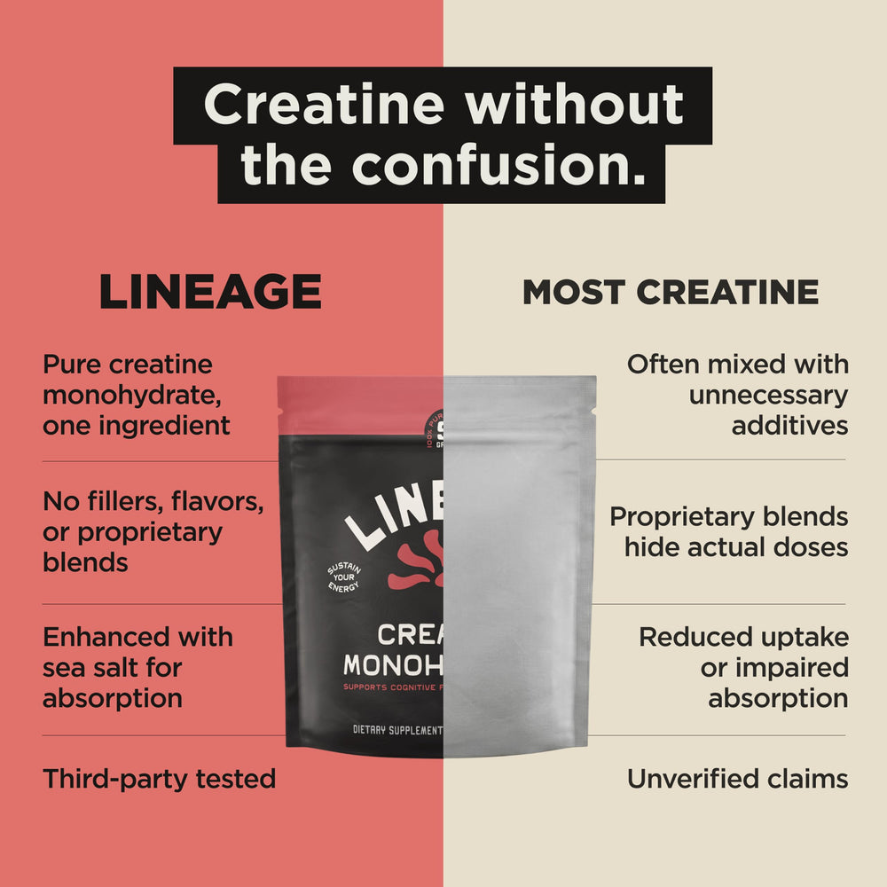 Lineage Provisions powder texture close-up showing micronized fine grains for fast mixing