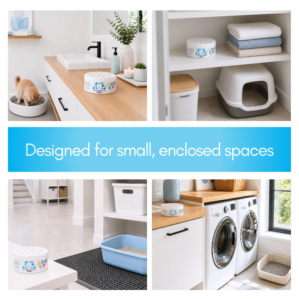 Litter Box Magic placed beside litter box demonstrating odor control