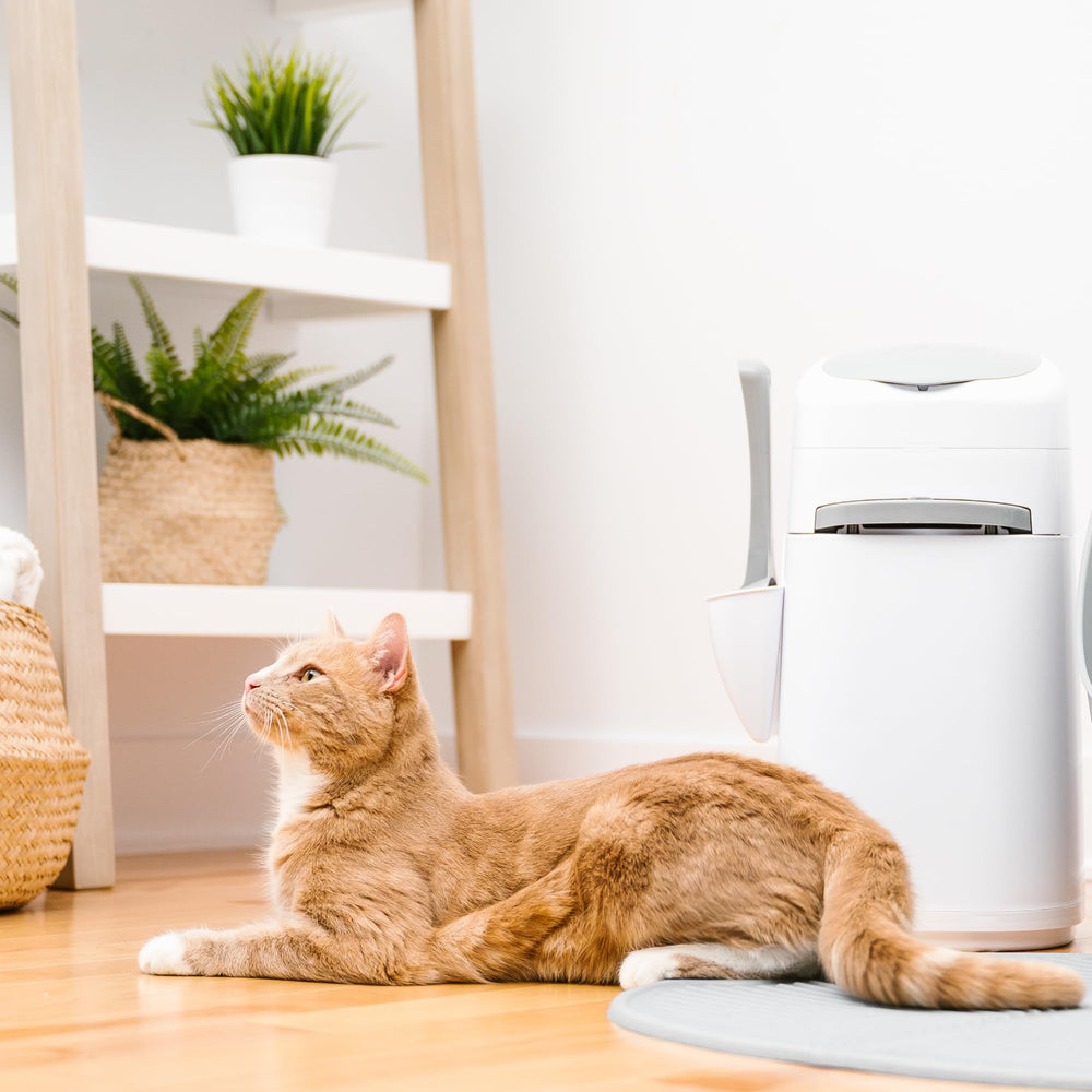 Litter Genie placed in bathroom setting showing space-saving convenience benefit