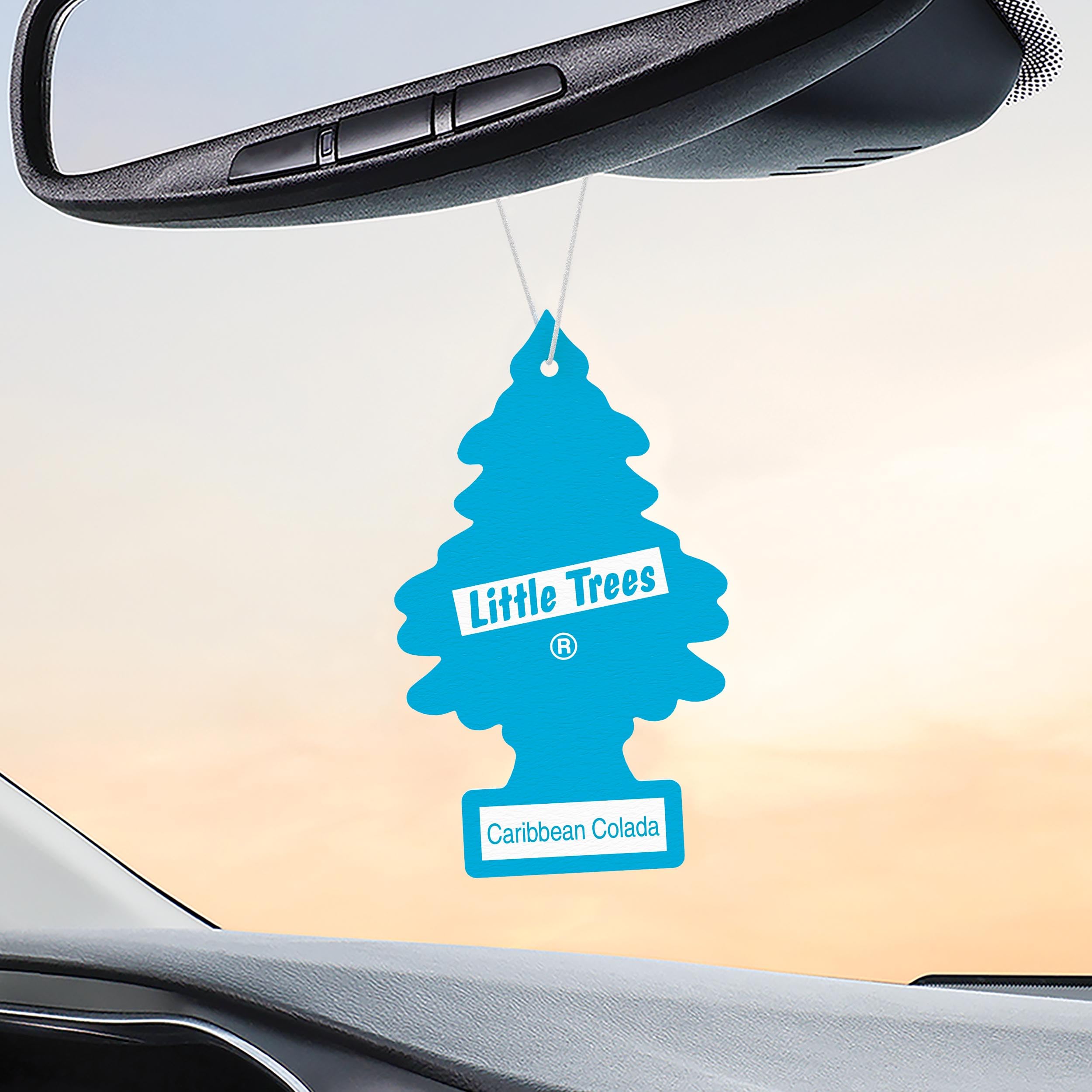 LITTLE TREES hanging in closet delivering fresh clothing scent