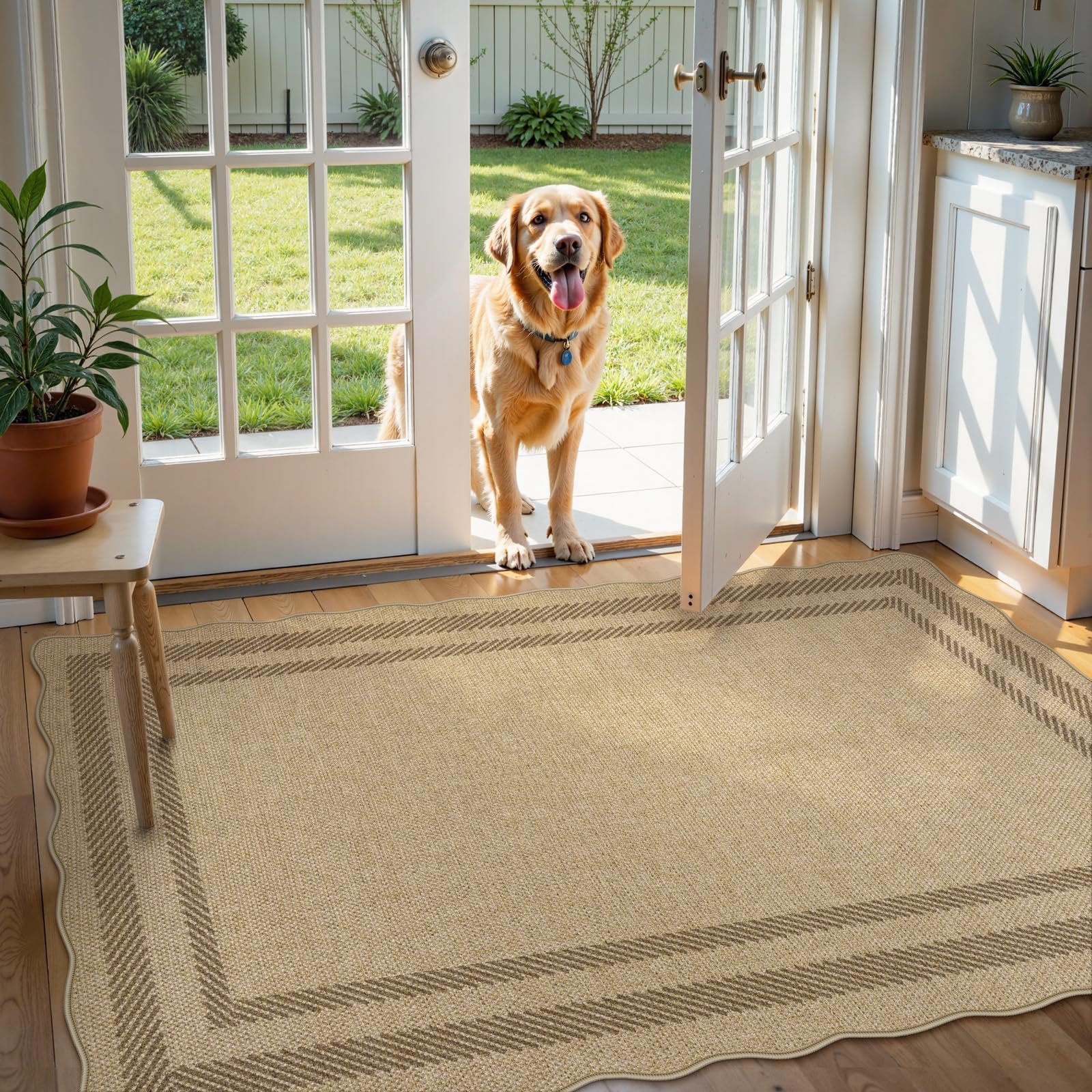 LIVEBOX rug next to chair showing true 3x5 scale and proportion