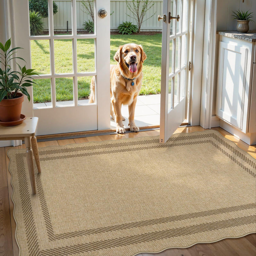 LIVEBOX rug next to chair showing true 3x5 scale and proportion