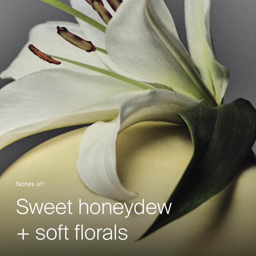 Living Proof spritz droplets macro highlighting mist quality and even coverage benefit