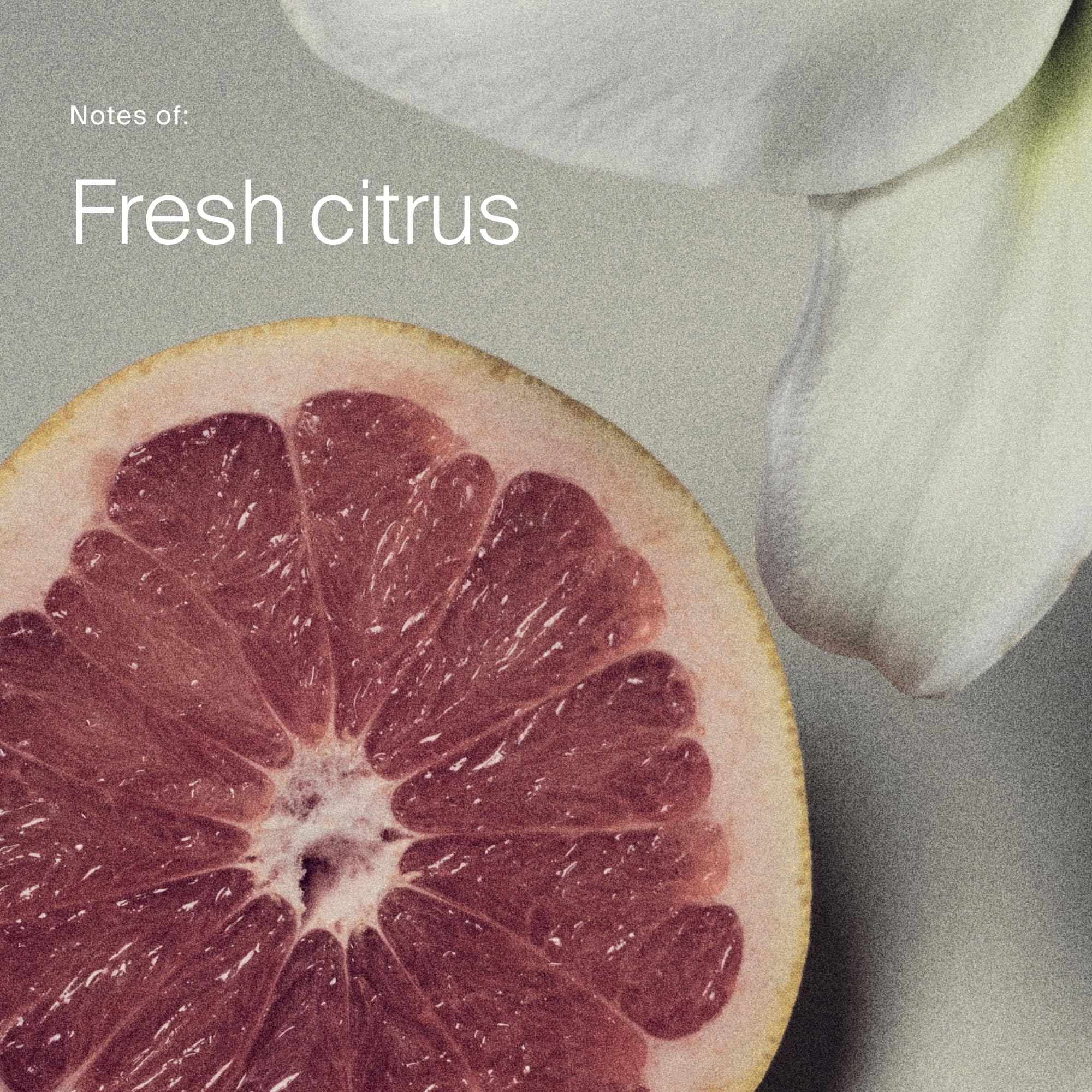 Living Proof illustration of time-release scent providing all-day freshness