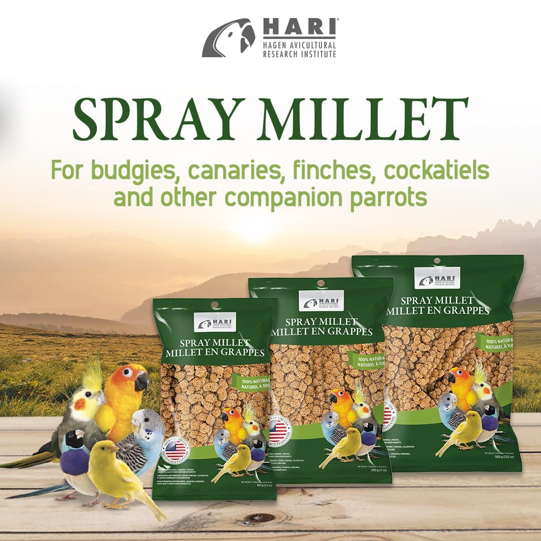 Living World bird nibbling millet spray illustrating enrichment and engagement
