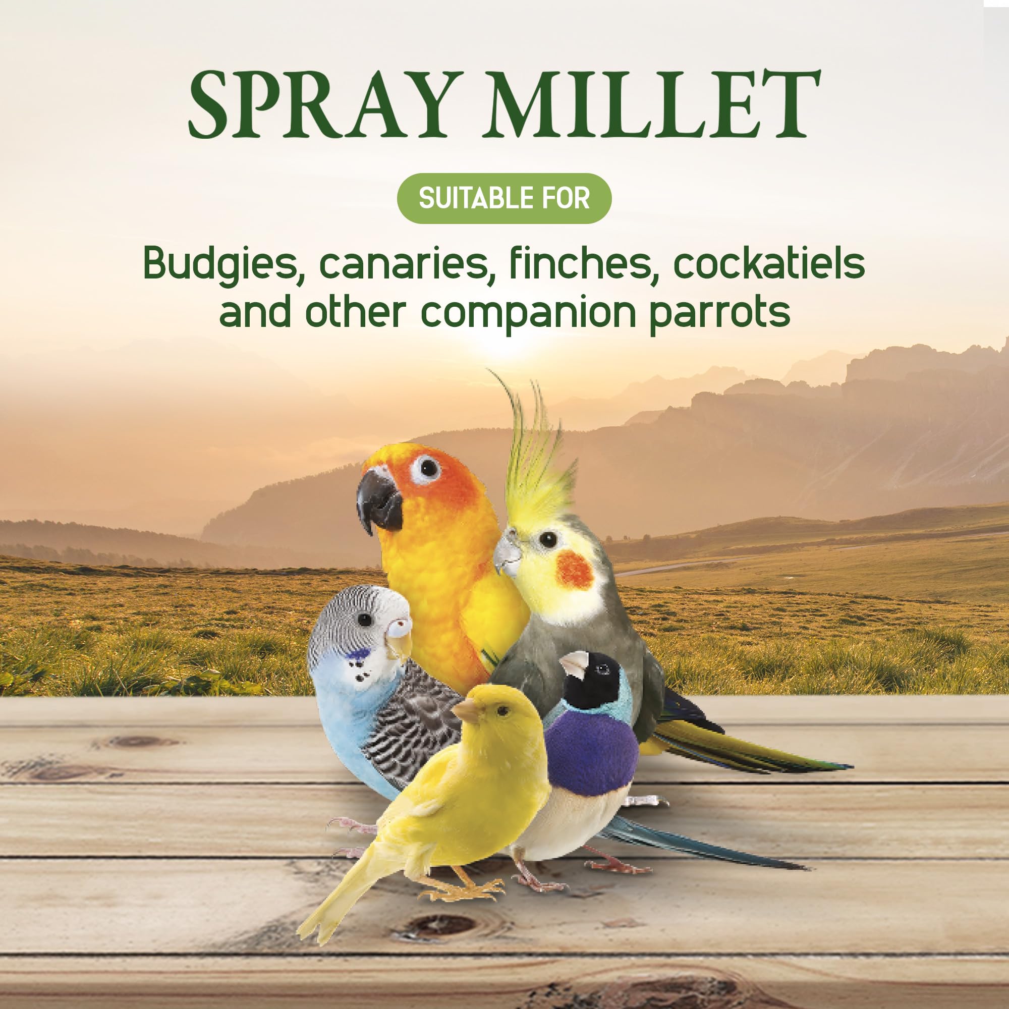 Living World millet held in hand to show size and easy serving benefit