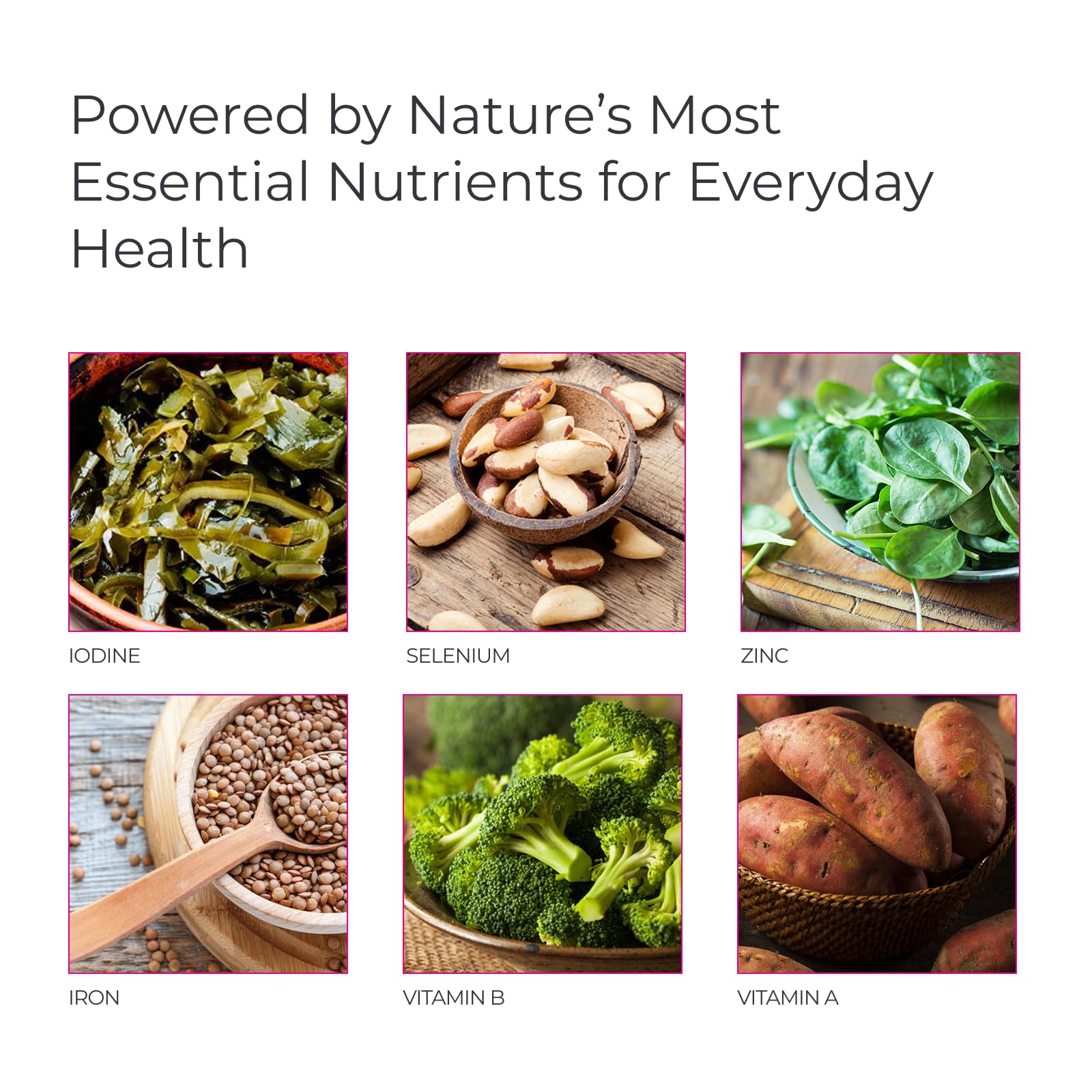 Livingood Daily label ingredient panel highlighting methylated B vitamins and minerals