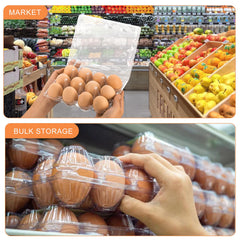 Lixavaer open carton holding a dozen eggs showing secure fit and easy inspection