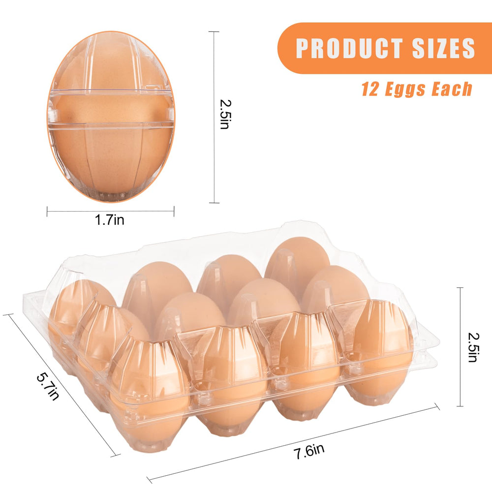 Lixavaer carton in hand size comparison showing compact 12-egg portability