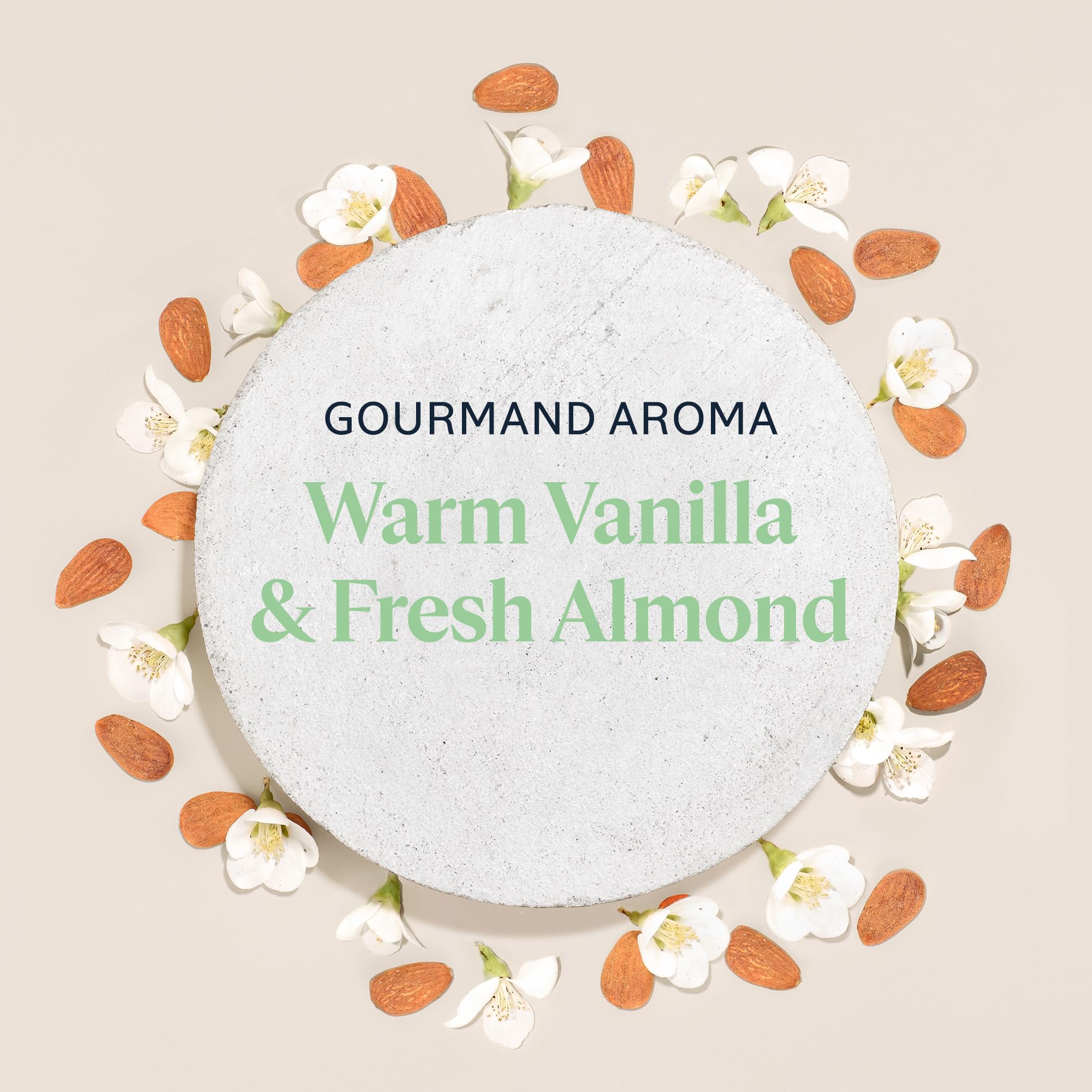 L'OCCITANE almonds and ingredients scene conveying natural nourishment