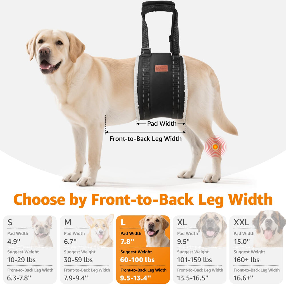 LOOBANI dog standing in sling showing assisted mobility support