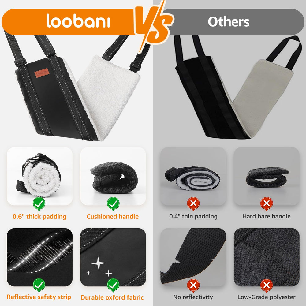 LOOBANI use on stairs lifestyle shot offering steady step assistance