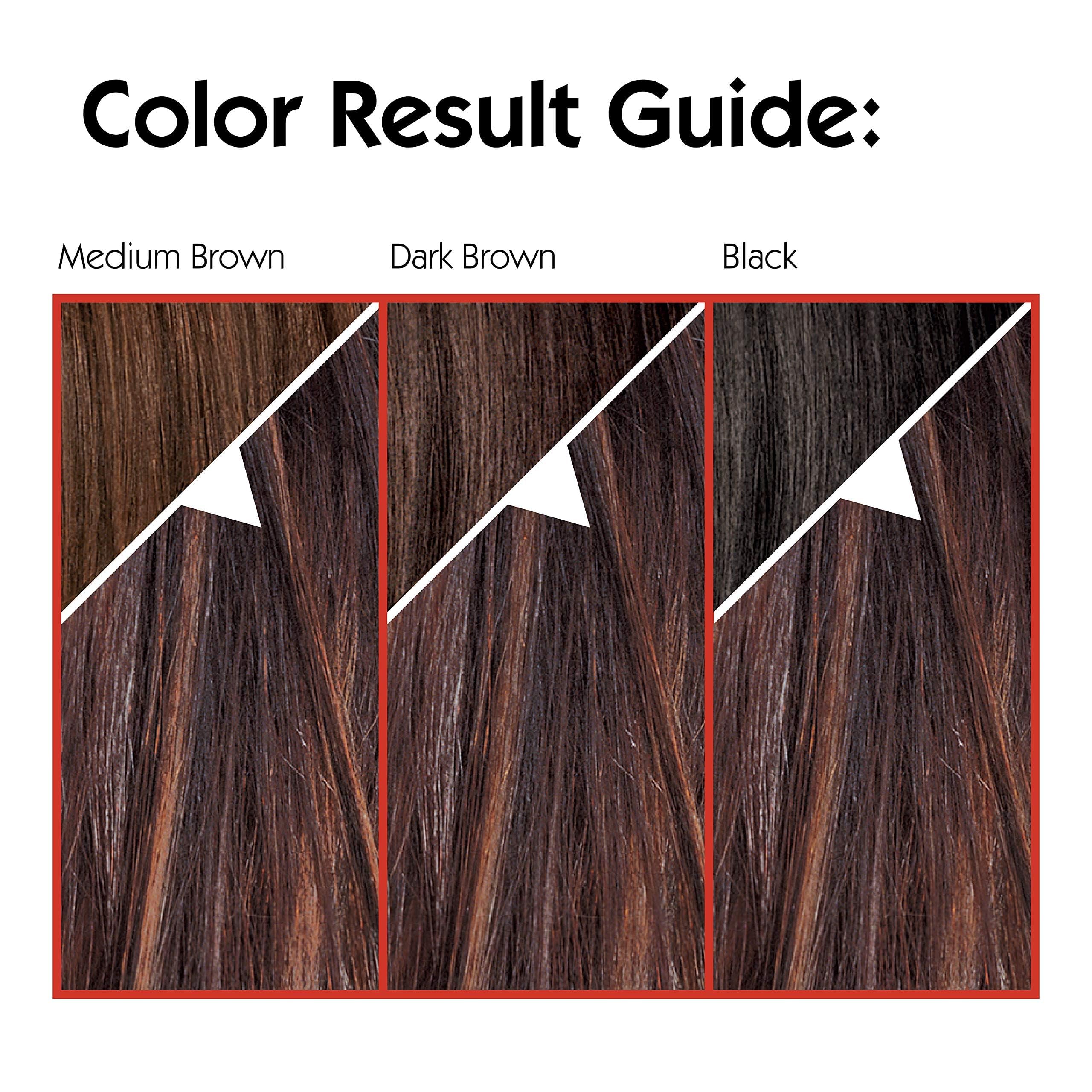 L'Oreal Paris angled application brush detail for precise highlight placement