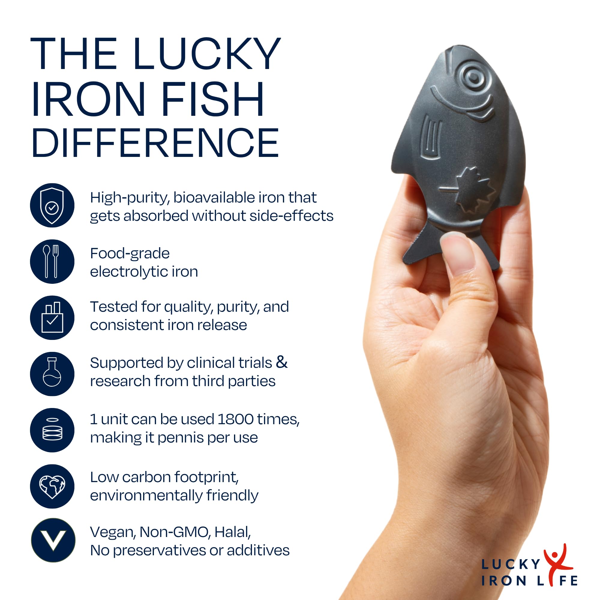 Lucky Iron Fish in rice pot illustrating simple cooking fortification benefit