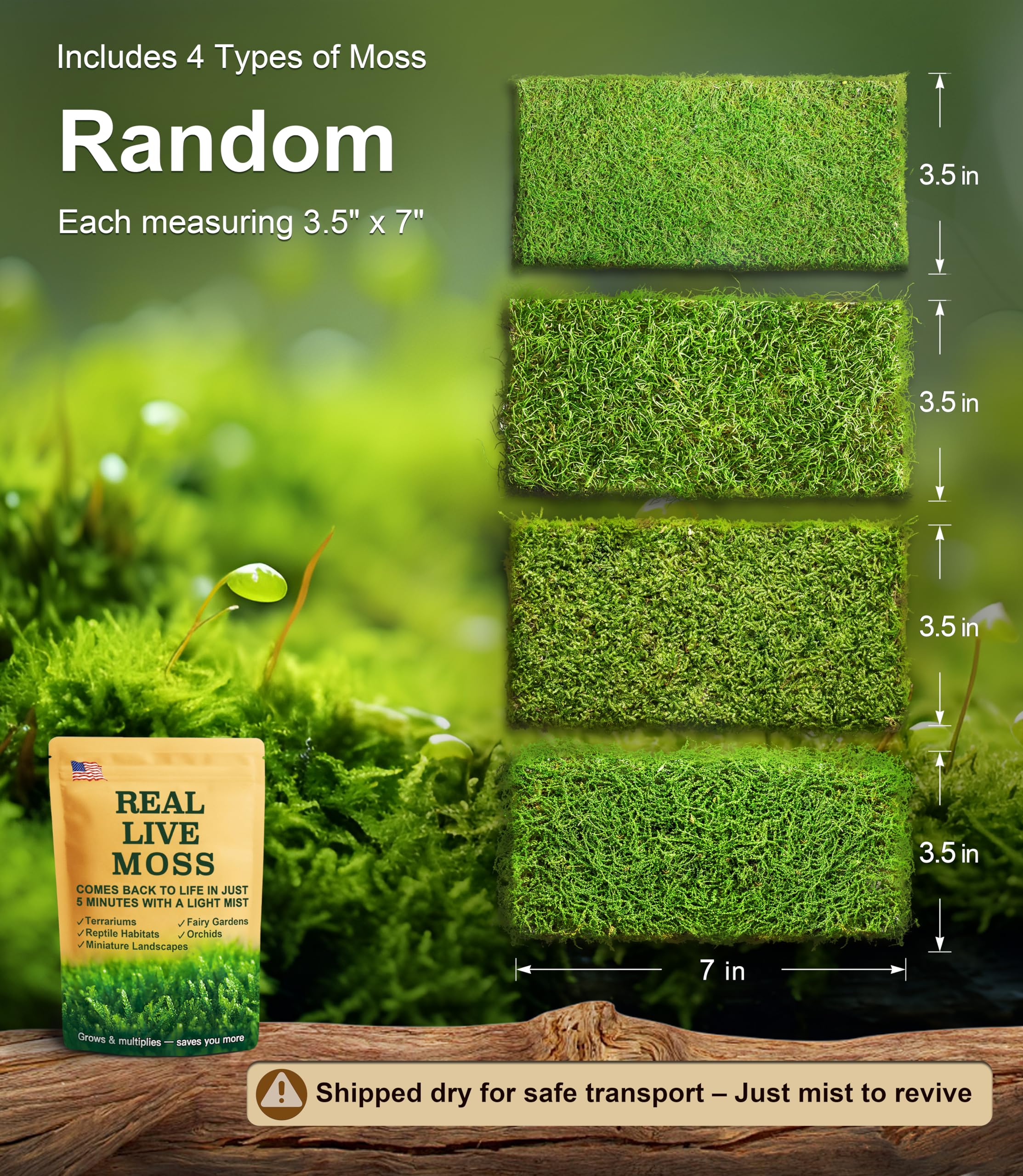LUCKYRUNES close-up moss texture highlighting natural soft green detail