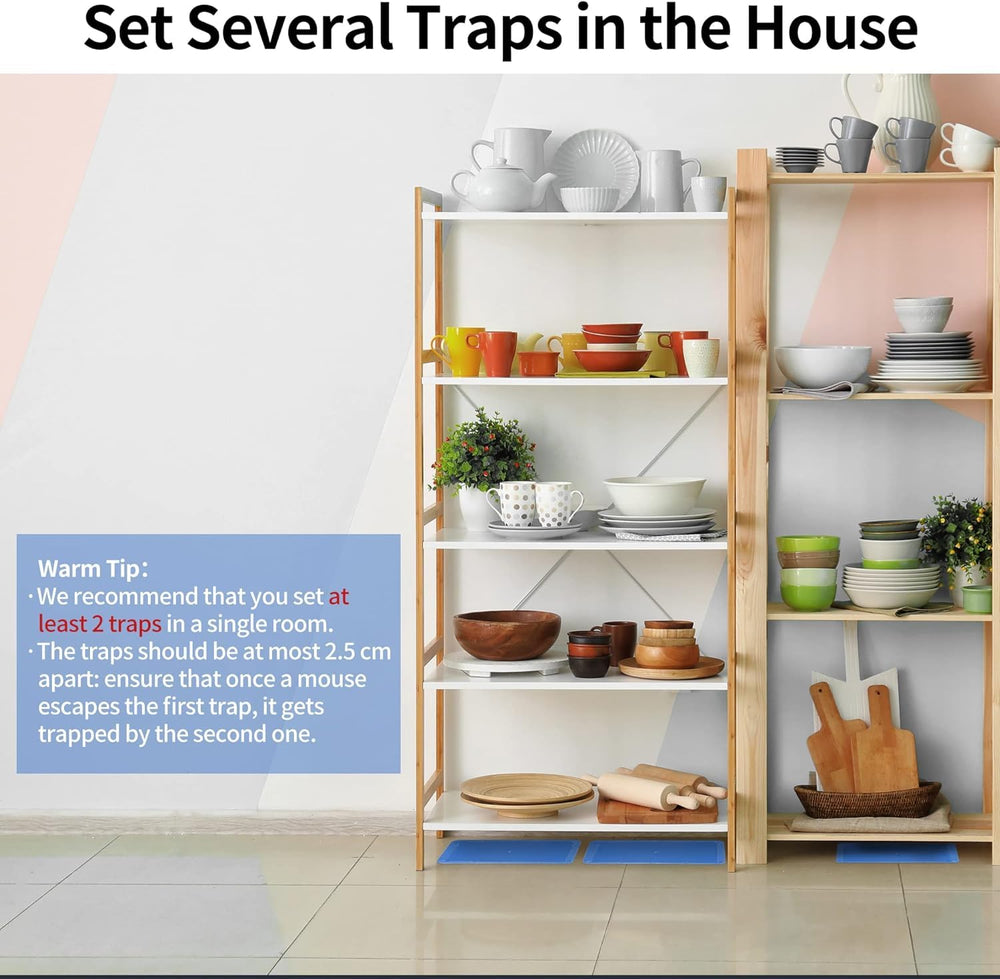LULUCATCH several traps staged along wall showing effective coverage benefit