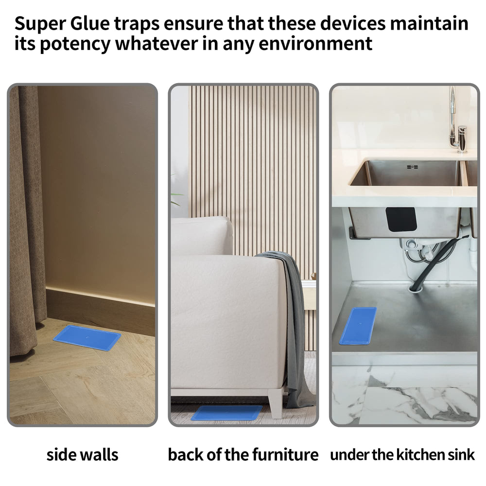 LULUCATCH opened pack with four trays laid out for quick setup benefit