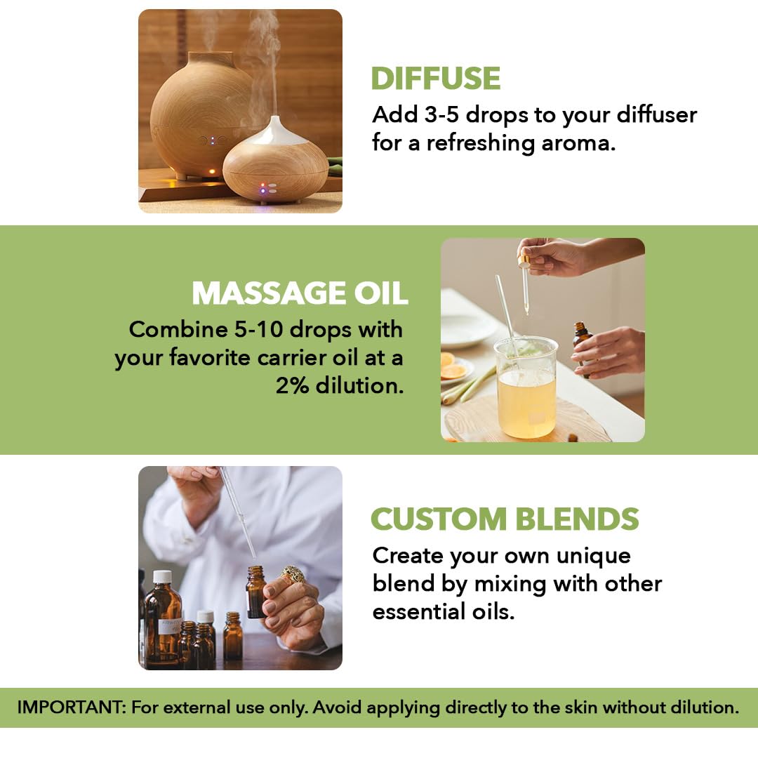 Majestic Pure peppermint oil in diffuser creating fresh aromatic atmosphere at home