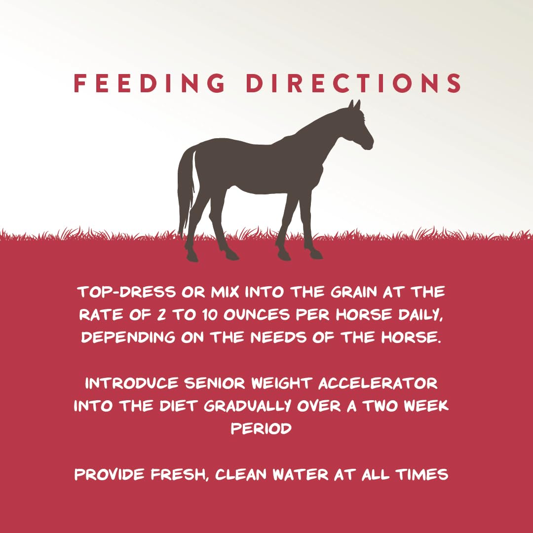 Manna Pro results on coat and hoof showing improved appearance