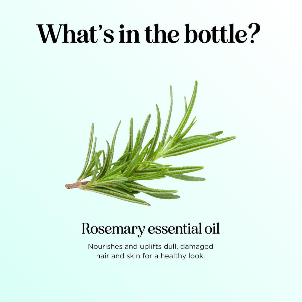 maple holistics rosemary oil texture close-up showing clear viscosity for blends