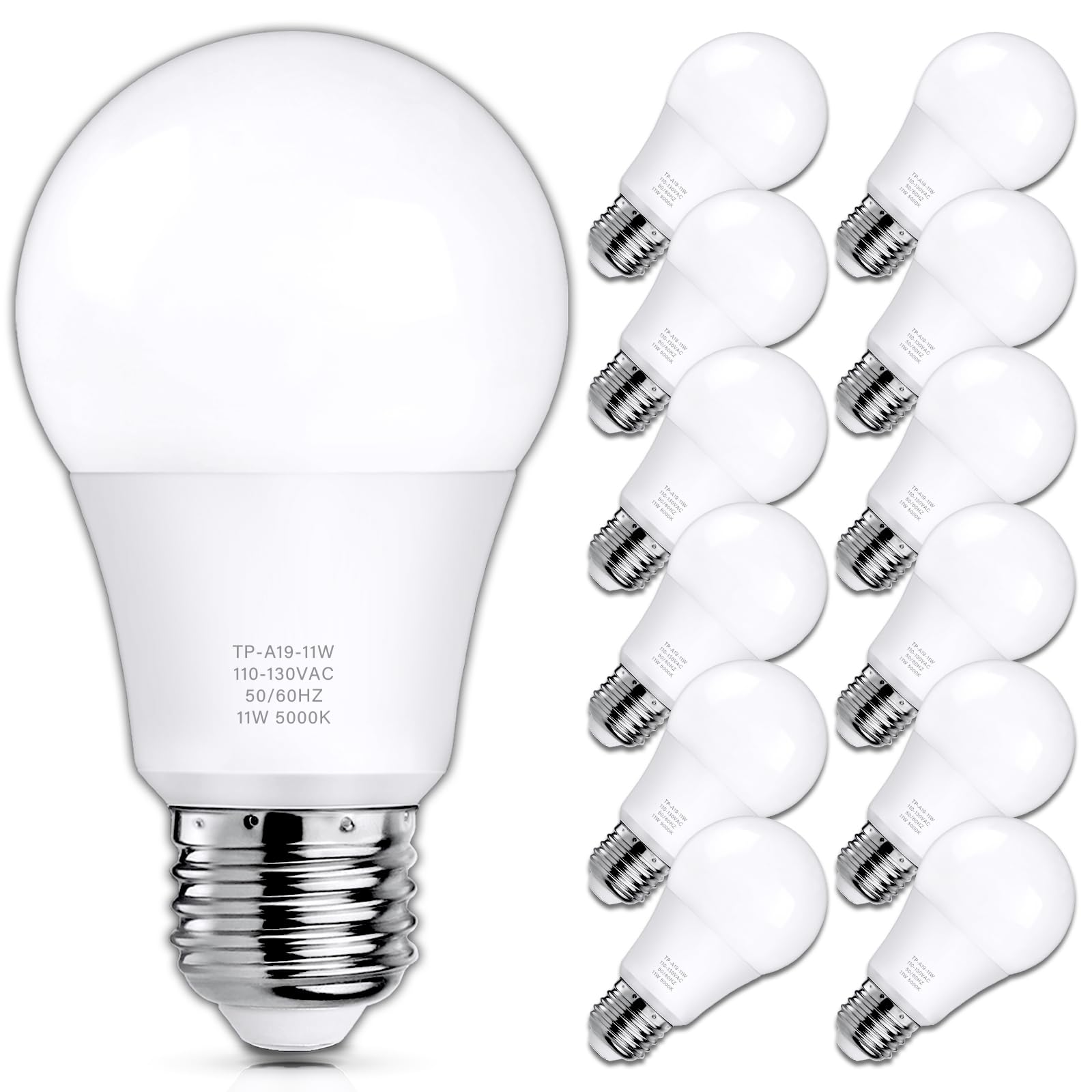 MAXvolador 12-pack front view showing product and bright daylight benefit