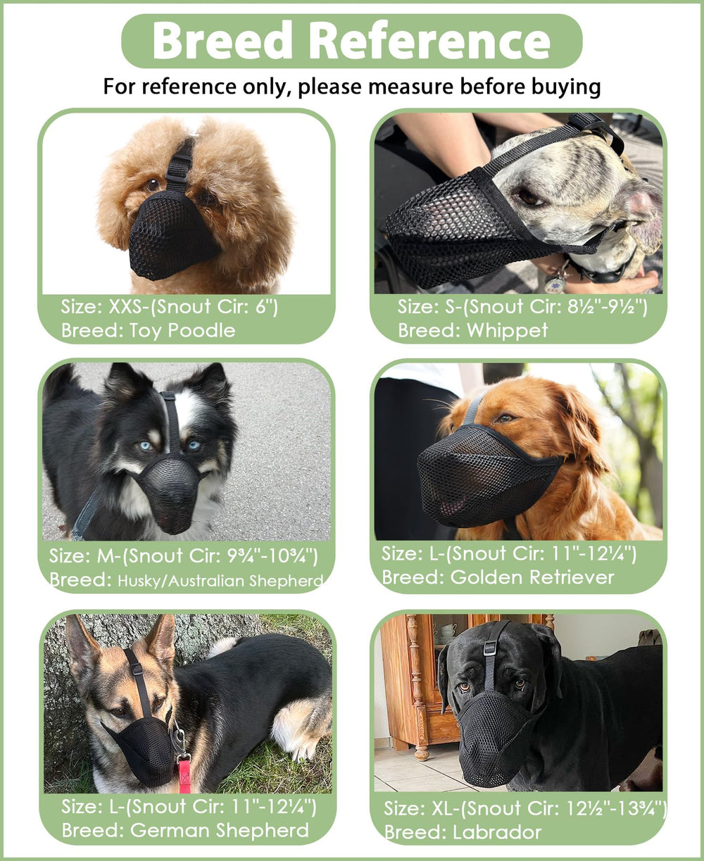 Mayerzon muzzle on dog during walk preventing picking up items while comfortable