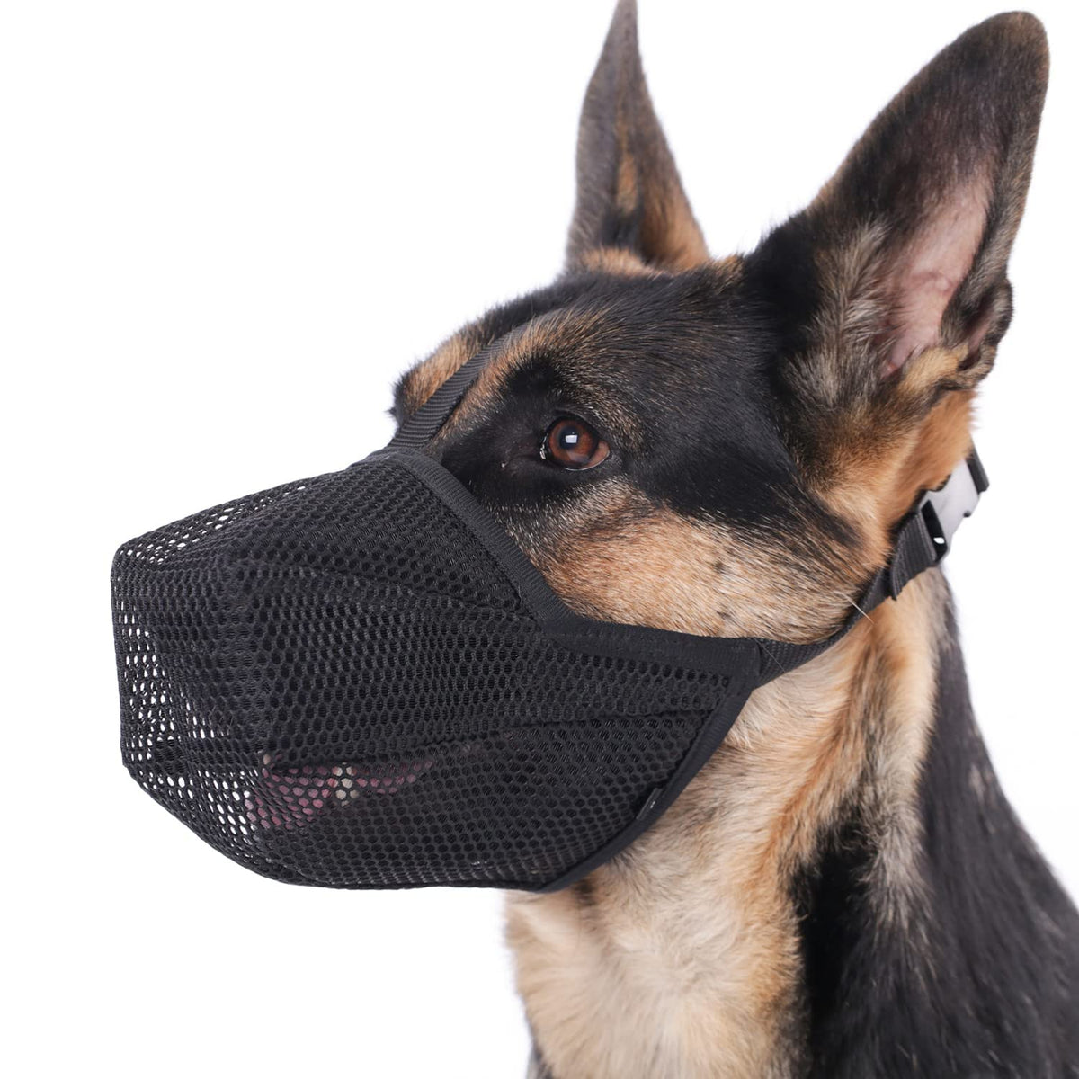 Mayerzon muzzle front view showing fit and comfort for safe scavenging prevention