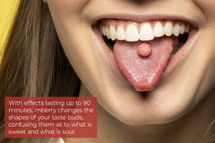 mberry tablet dissolving on tongue demonstrating instant effect