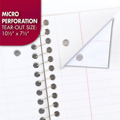 Mead three-hole punched page ready to insert into a standard binder