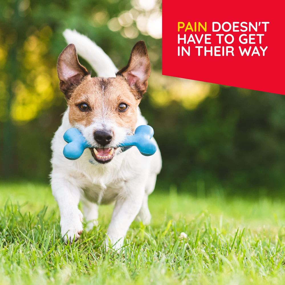 MediNatura pet taking tablet from hand demonstrating simple, stress-free dosing