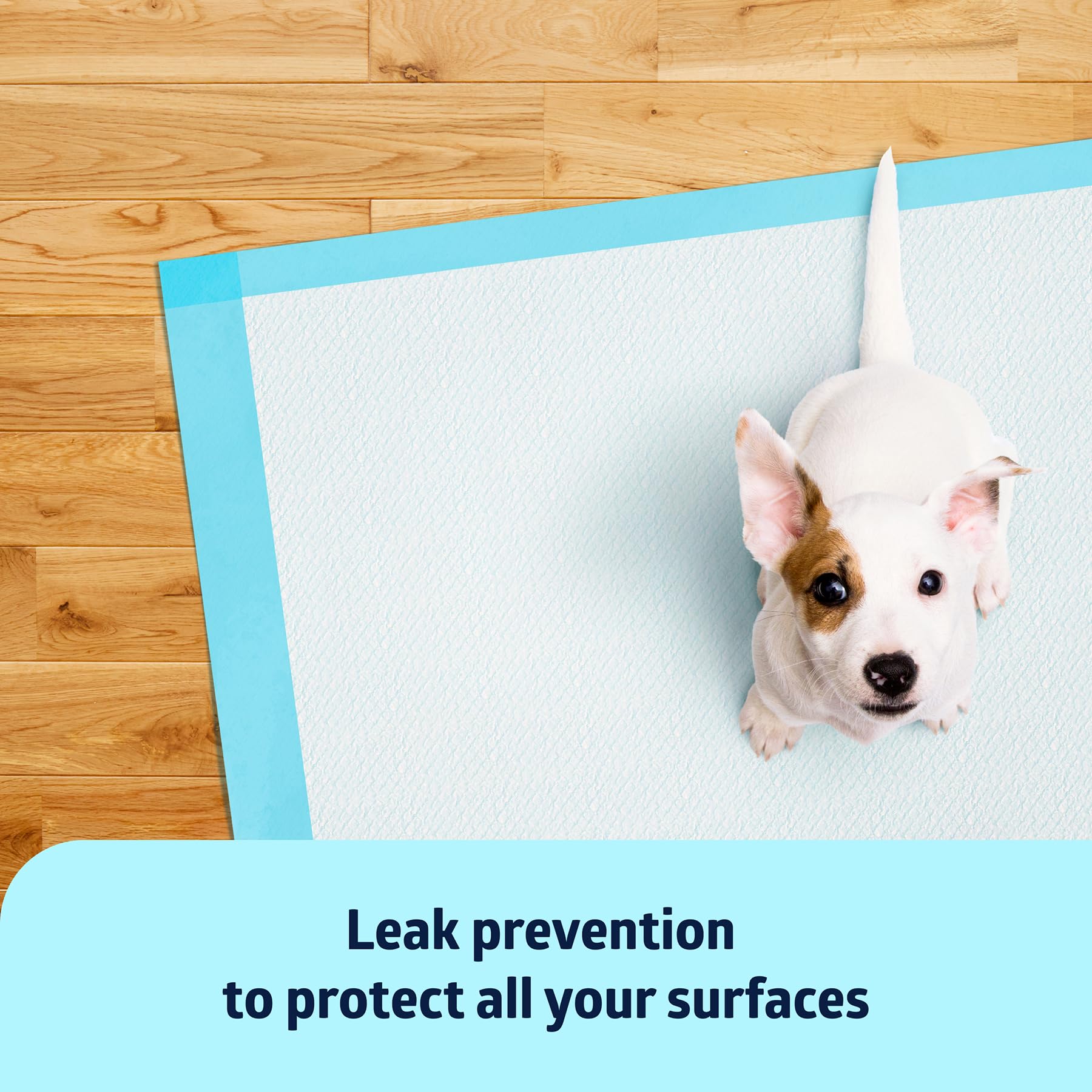 Medline serving as a puppy training pad durable surface protection for pets