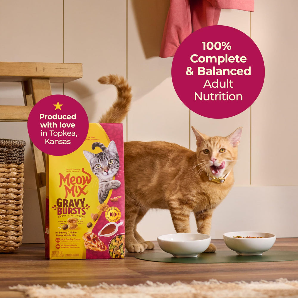 Meow Mix kibble close-up highlighting crunchy texture benefit
