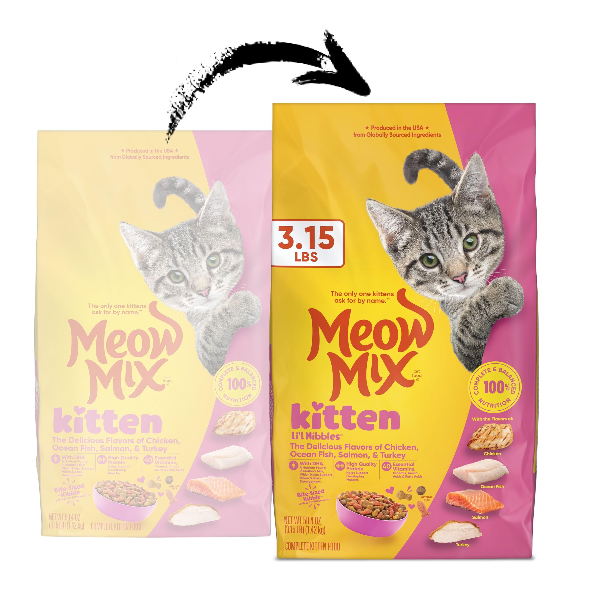 Close-up of Meow Mix kibble texture ideal for small kitten mouths
