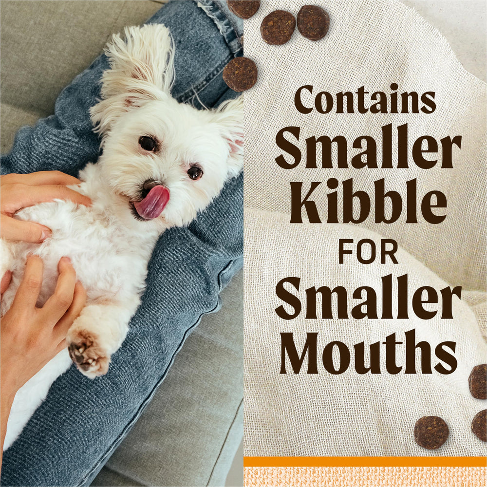 Merrick close-up of kibble texture showing crunch for dental benefit