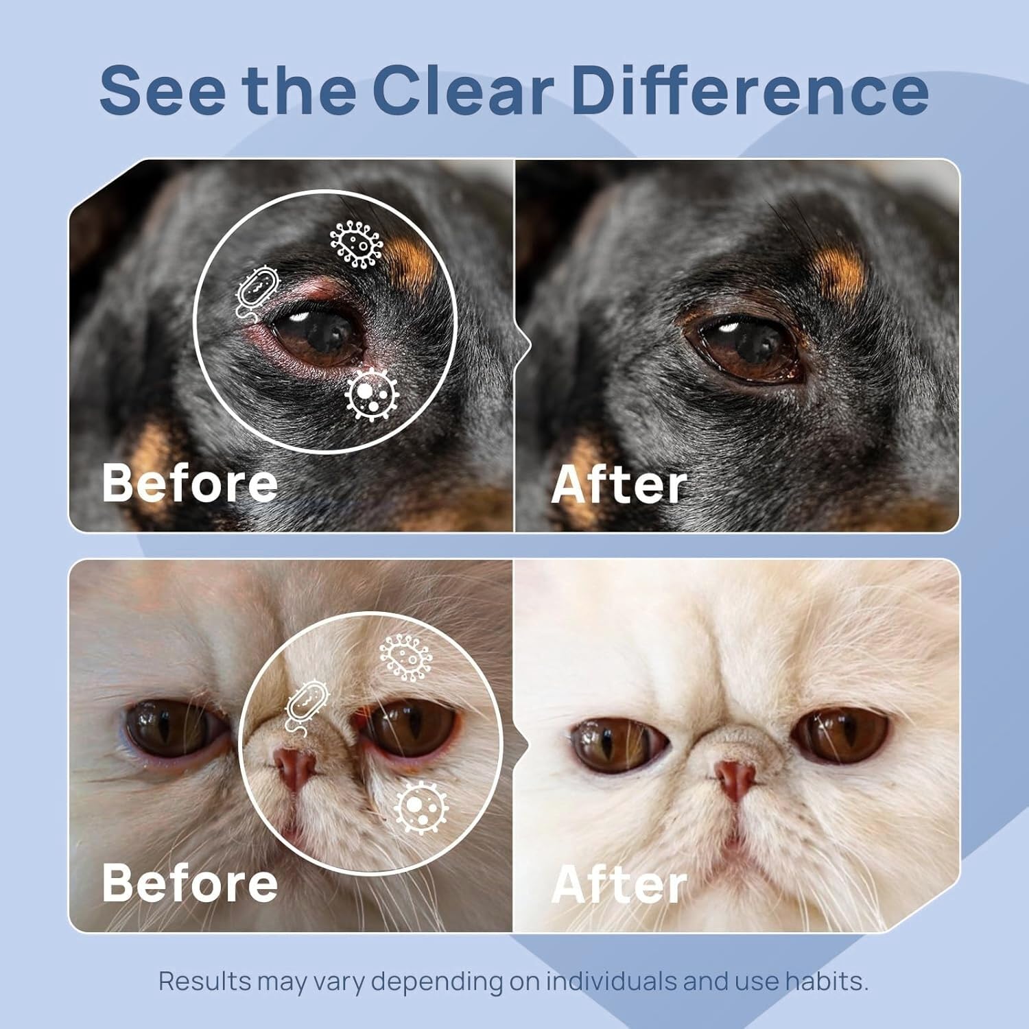METEPET applied to dog lower eyelid by owner demonstrating simple hygiene