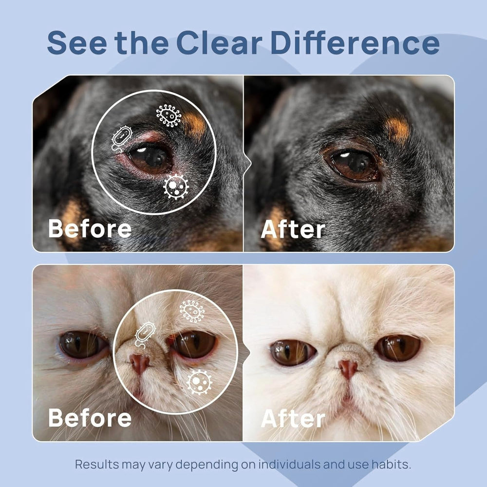 METEPET applied to dog lower eyelid by owner demonstrating simple hygiene