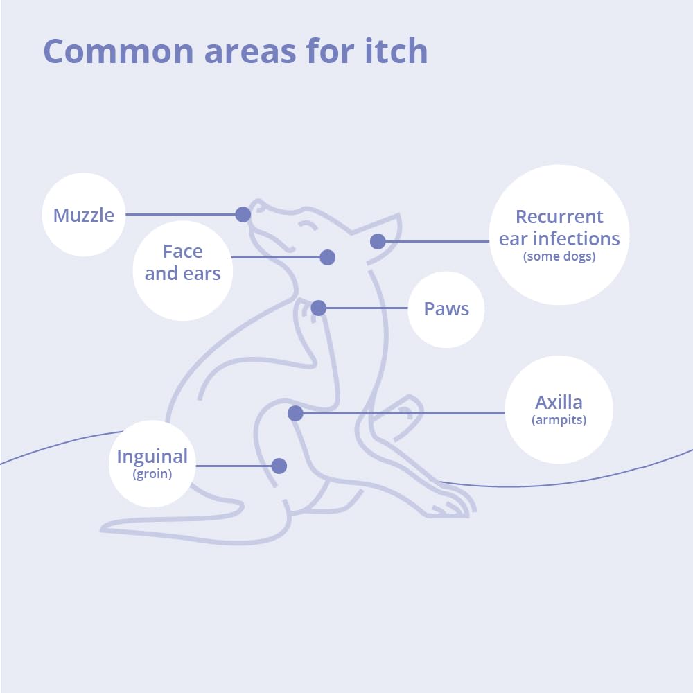 MiconaHex+Triz shampoo used while grooming a cat illustrating safe multi-species care benefit