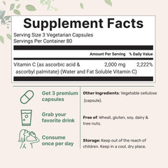 Micro Ingredients capsules close-up revealing smooth veggie capsule surface and easy-to-swallow design for convenience