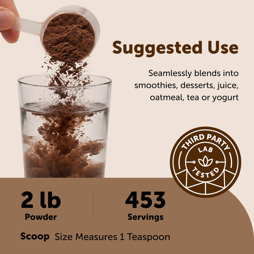 Micro Ingredients cinnamon used in baking scene giving reliable spice for recipes