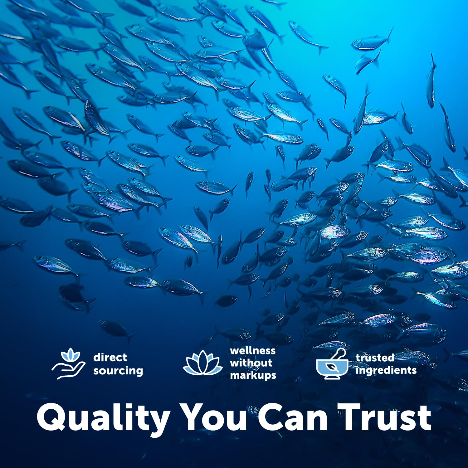 Micro Ingredients deep-sea fish visual representing wild-caught sourcing benefit