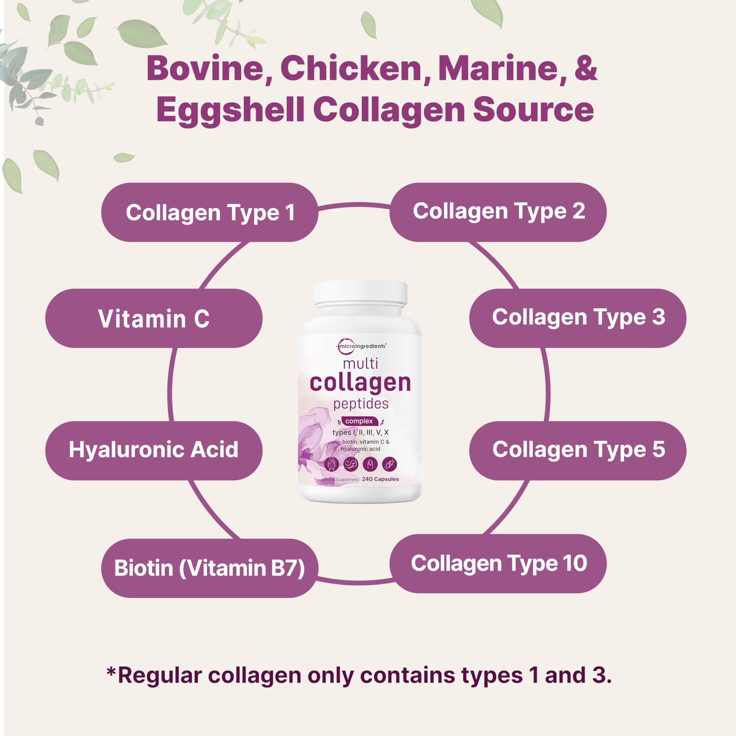 Micro Ingredients visual of collagen sources — bovine, chicken, fish, eggshell membrane