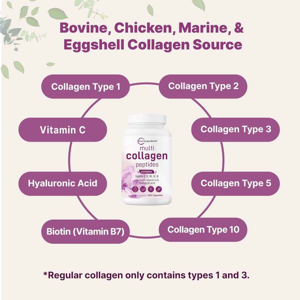 Micro Ingredients visual of collagen sources — bovine, chicken, fish, eggshell membrane
