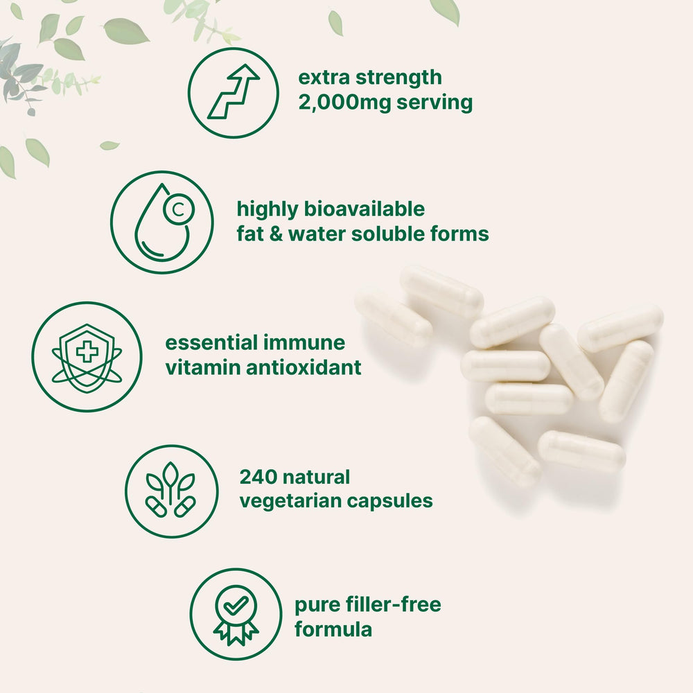 Micro Ingredients powder texture detail highlighting dual-form vitamin C blend and uniform particle quality for consistency