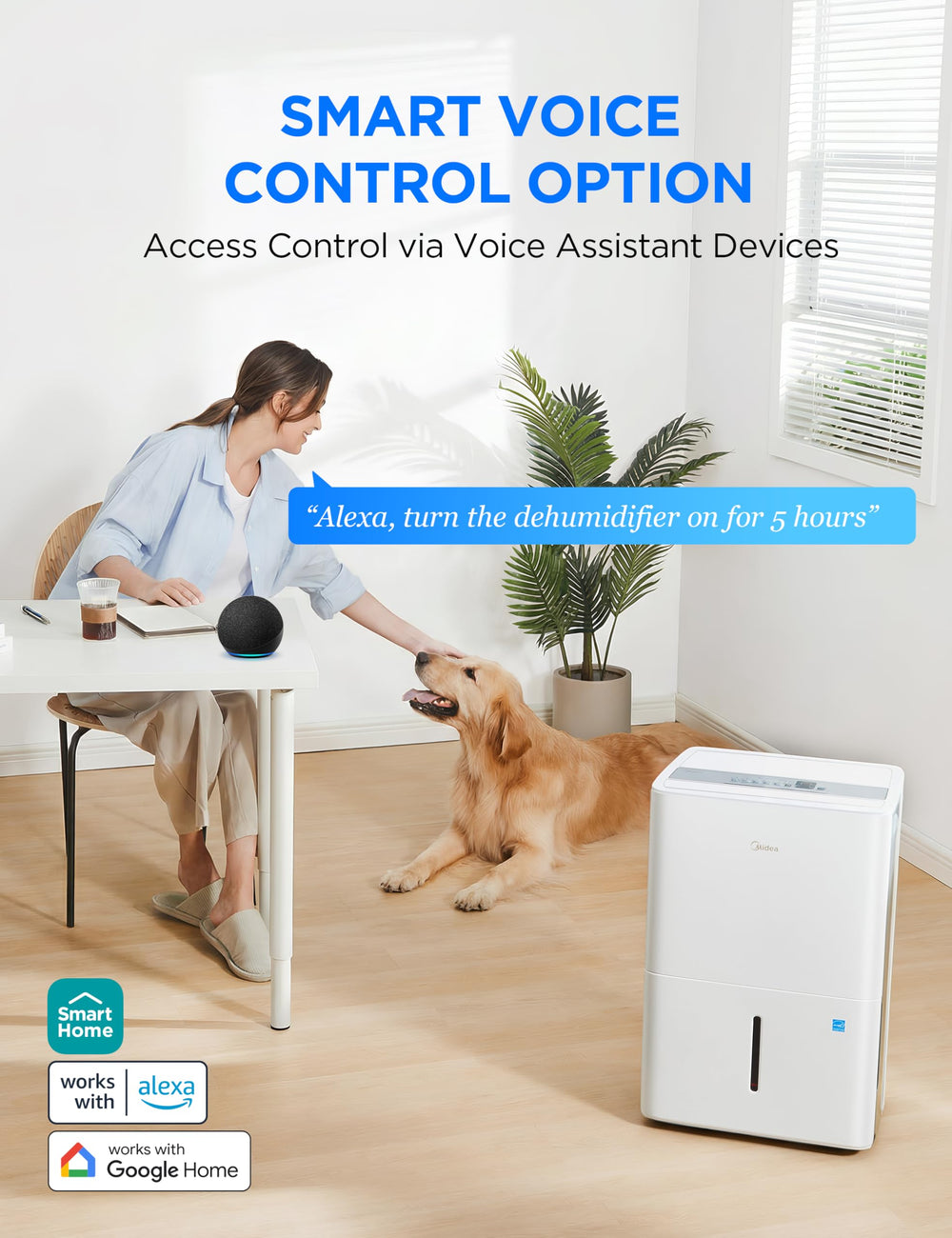 Midea four-wheel base demonstrating easy mobility between rooms
