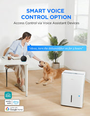 Midea four-wheel base demonstrating easy mobility between rooms