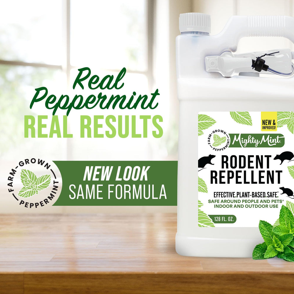 Mighty Mint peppermint oil close-up highlighting natural ingredient potency