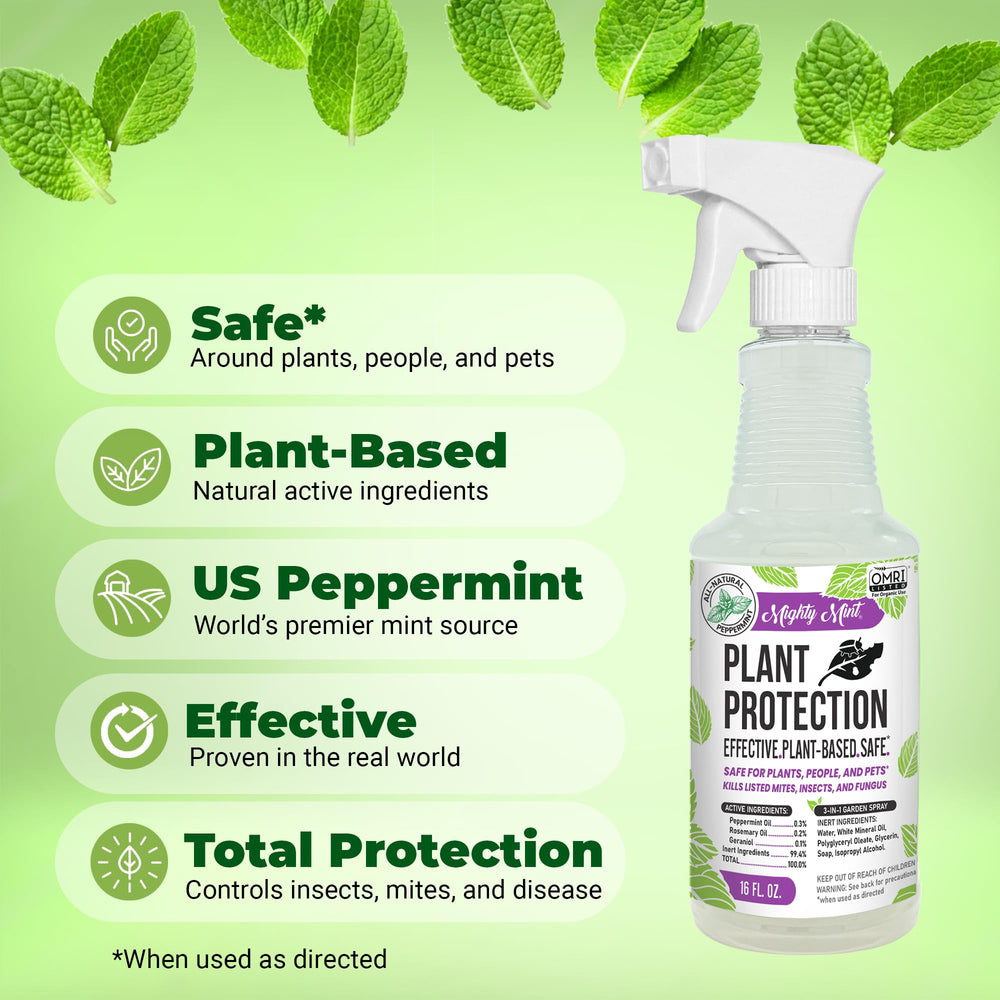 Close-up of peppermint oil drop texture highlighting natural plant-based ingredient advantage
