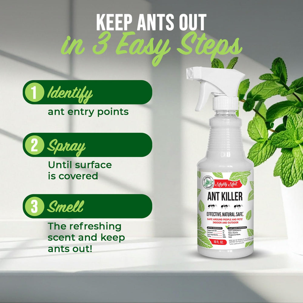 Mighty Mint lifestyle scene with fresh mint aroma enhancing home comfort