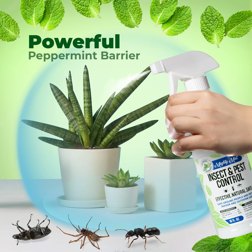 Mighty Mint applied to a patio threshold to deter outdoor pests